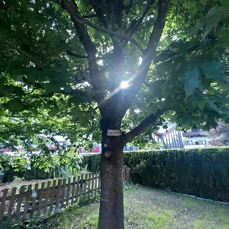 Schermer 3* Bad Häring