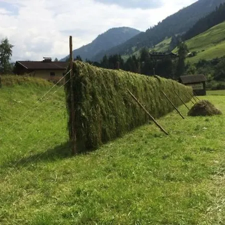 Schermer 3* Bad Häring