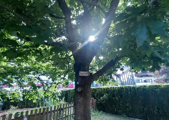 Gasthof Schermer 3* Bad Haering