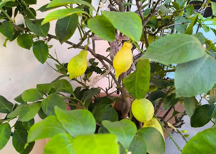 Gasthof Schermer 3* Bad Haering